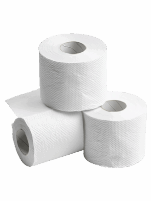 Papel Higiênico (1 pacote)