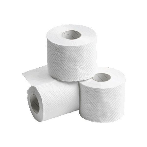 Papel Higiênico (1 pacote)