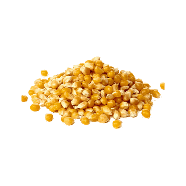 Milho de Pipoca